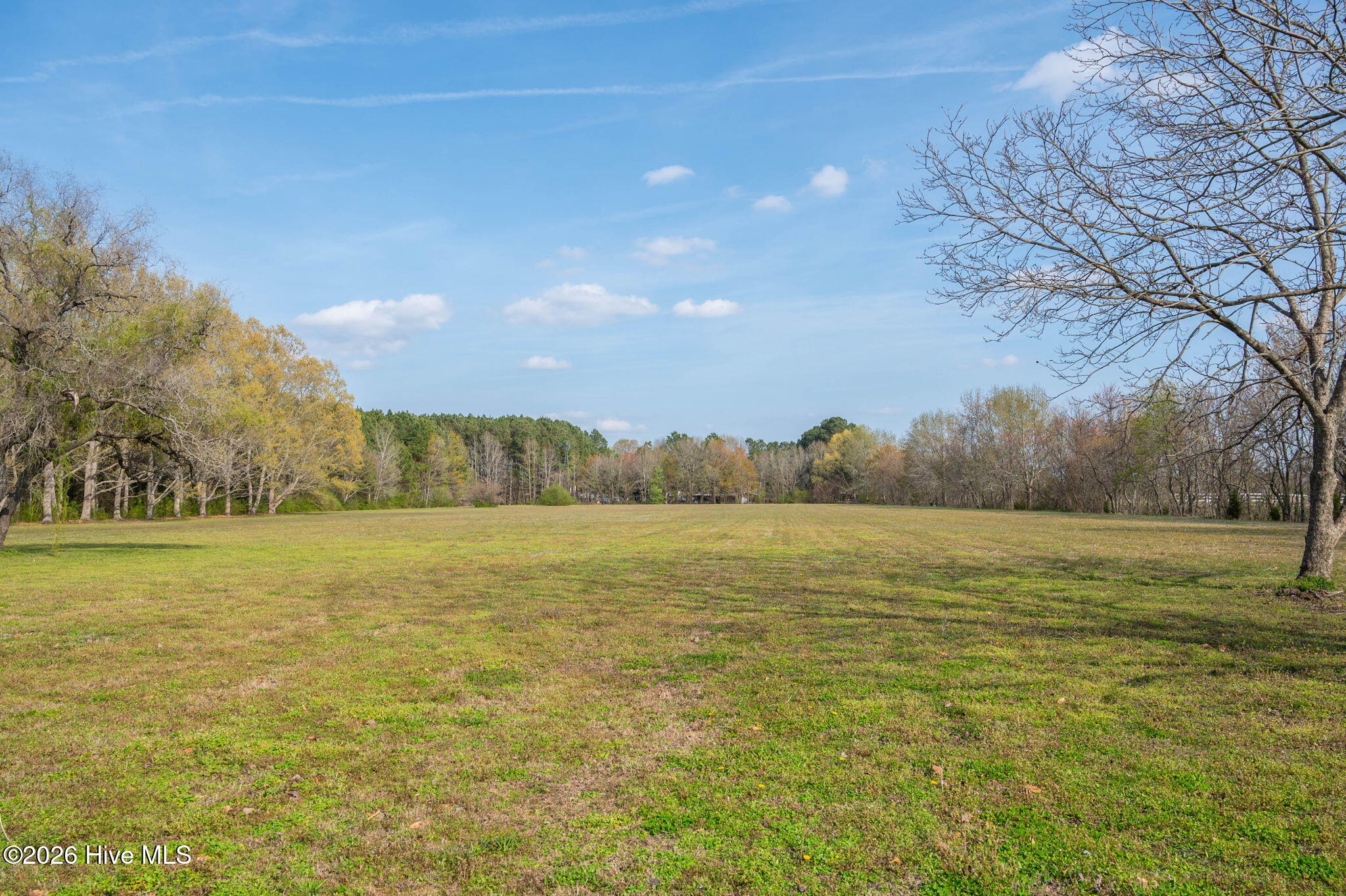813 Puddin Ridge Road Moyock, NC 27958 - Photo 42 of 49 Give me Lots of Land!