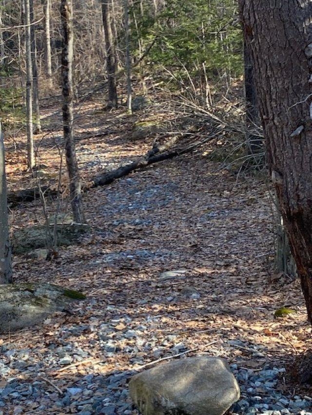 Orchard View Drive, Unit 8 Amherst, NH 03031 - Photo 4 of 7