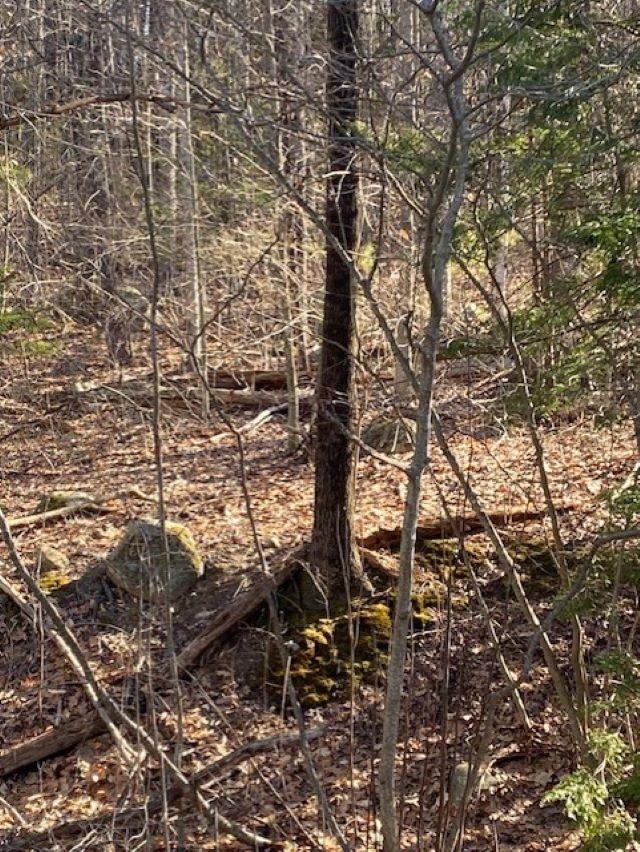 Orchard View Drive, Unit 8 Amherst, NH 03031 - Photo 5 of 7