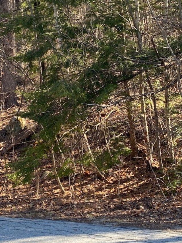 Orchard View Drive, Unit 8 Amherst, NH 03031 - Photo 6 of 7