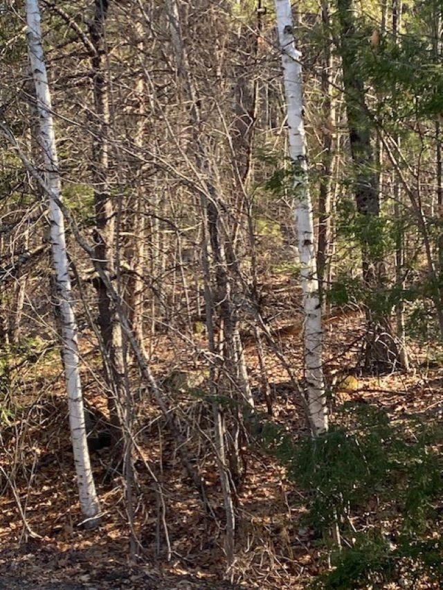 Orchard View Drive, Unit 8 Amherst, NH 03031 - Photo 7 of 7