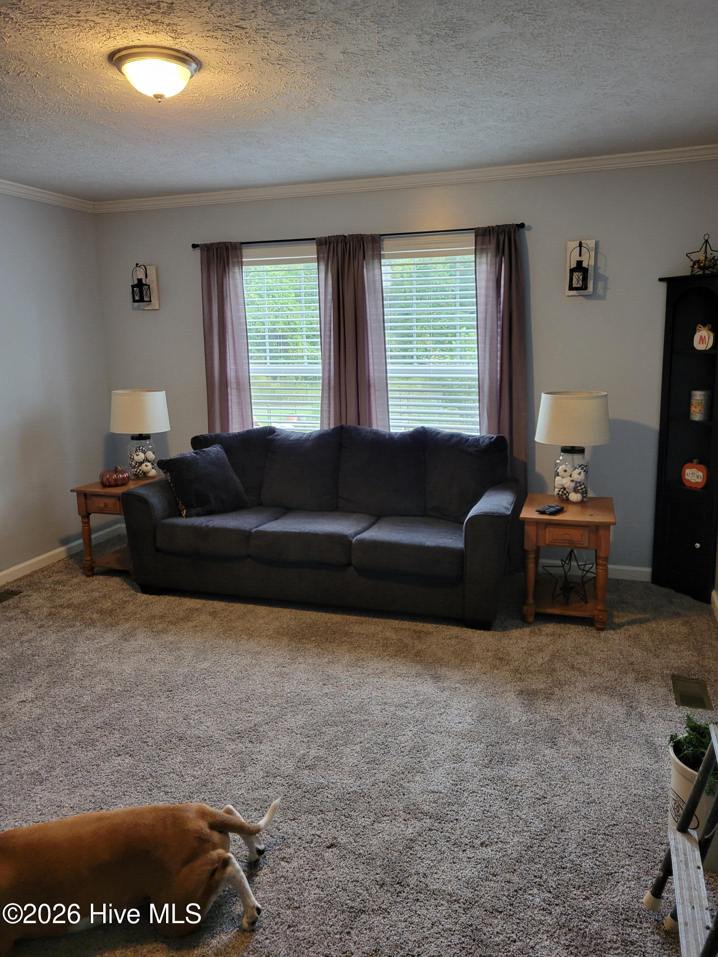 3729 Bryan Hardy Road La Grange, NC 28551 - Photo 19 of 29 3729BryanHardyRoad_68475_19