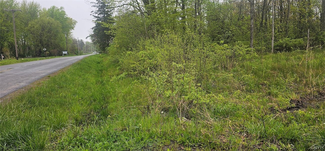 Rotterdam Road Sodus, NY 14551 - Photo 22 of 25