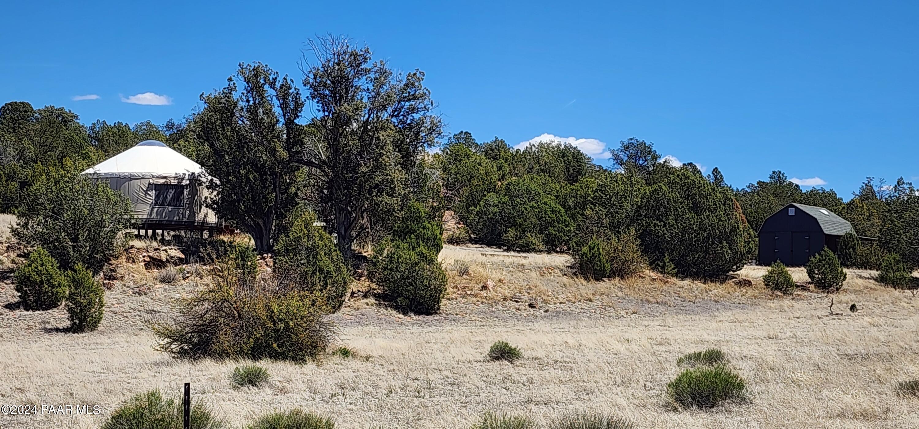 0 Wooden Ear Ranch Road Seligman, AZ 86337 - Photo 11 of 47 a view of a covered with snow in the background