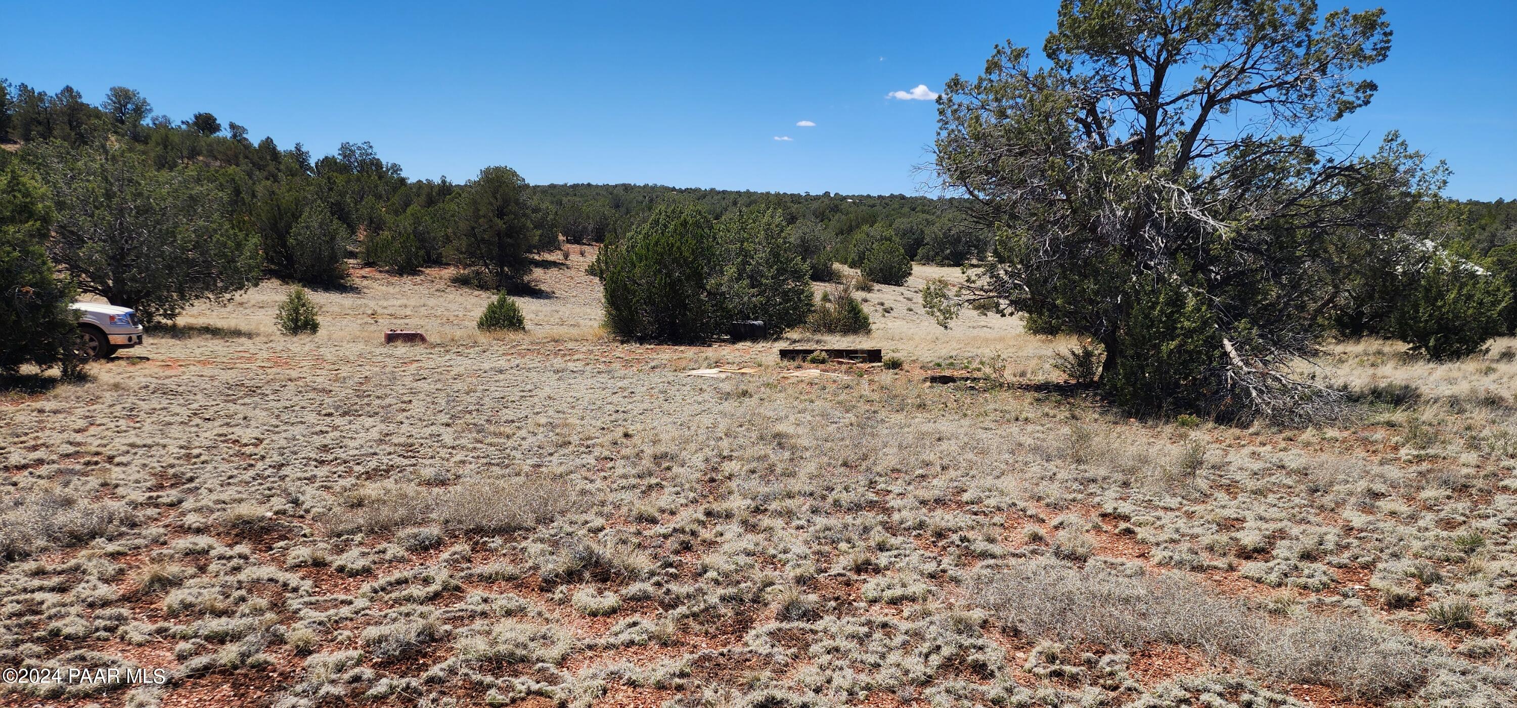 0 Wooden Ear Ranch Road Seligman, AZ 86337 - Photo 16 of 47 a view of a dry yard with a tree