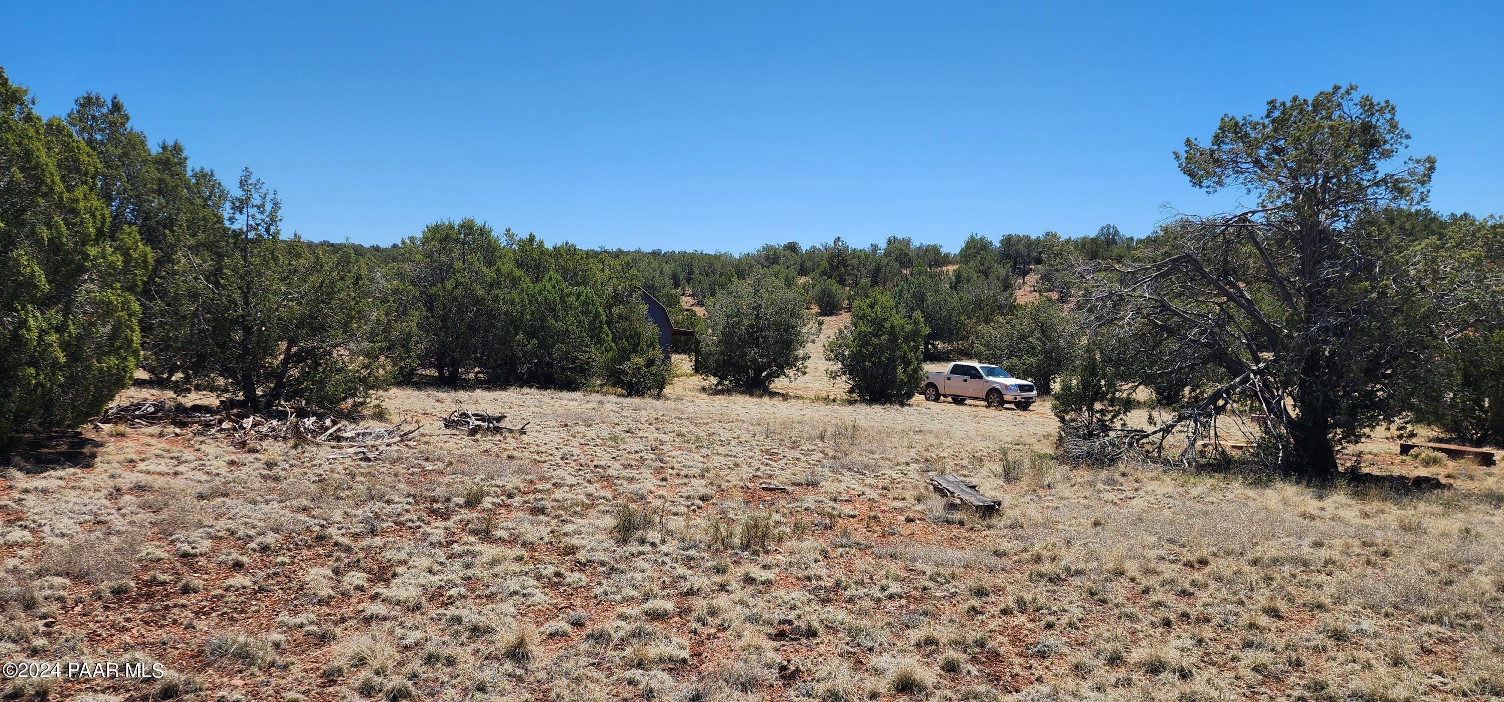 0 Wooden Ear Ranch Road Seligman, AZ 86337 - Photo 17 of 47 a view of a dry yard with a tree