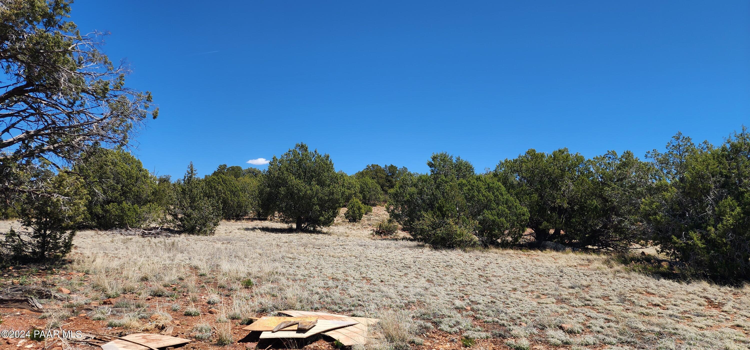 0 Wooden Ear Ranch Road Seligman, AZ 86337 - Photo 20 of 47 a view of outdoor space and yard