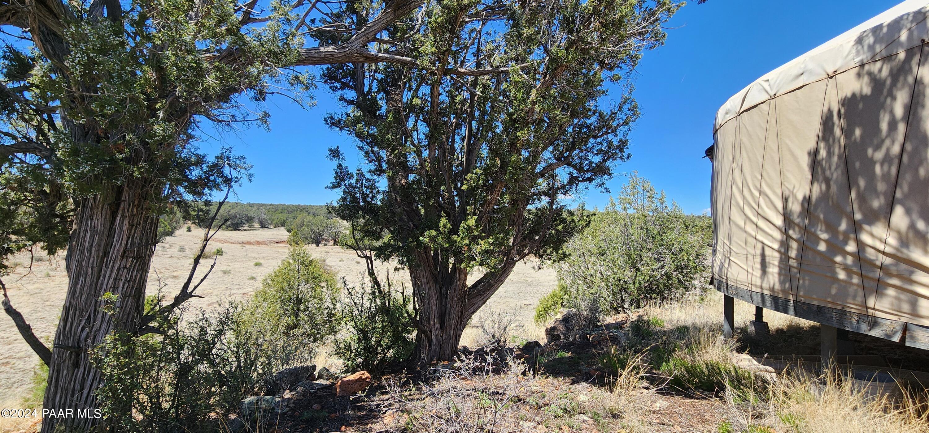 0 Wooden Ear Ranch Road Seligman, AZ 86337 - Photo 22 of 47 a view of a yard
