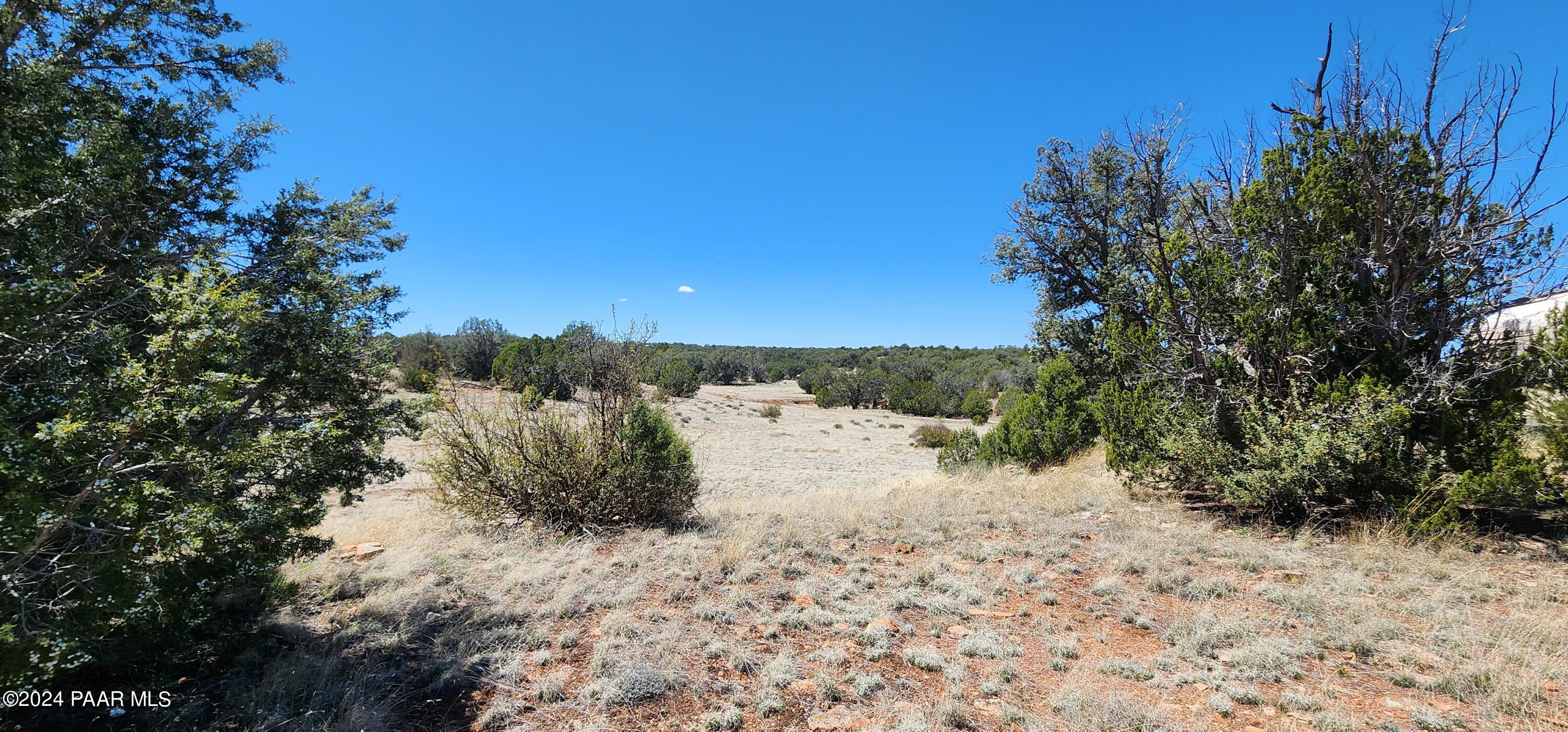 0 Wooden Ear Ranch Road Seligman, AZ 86337 - Photo 31 of 47 a view of a yard with a tree