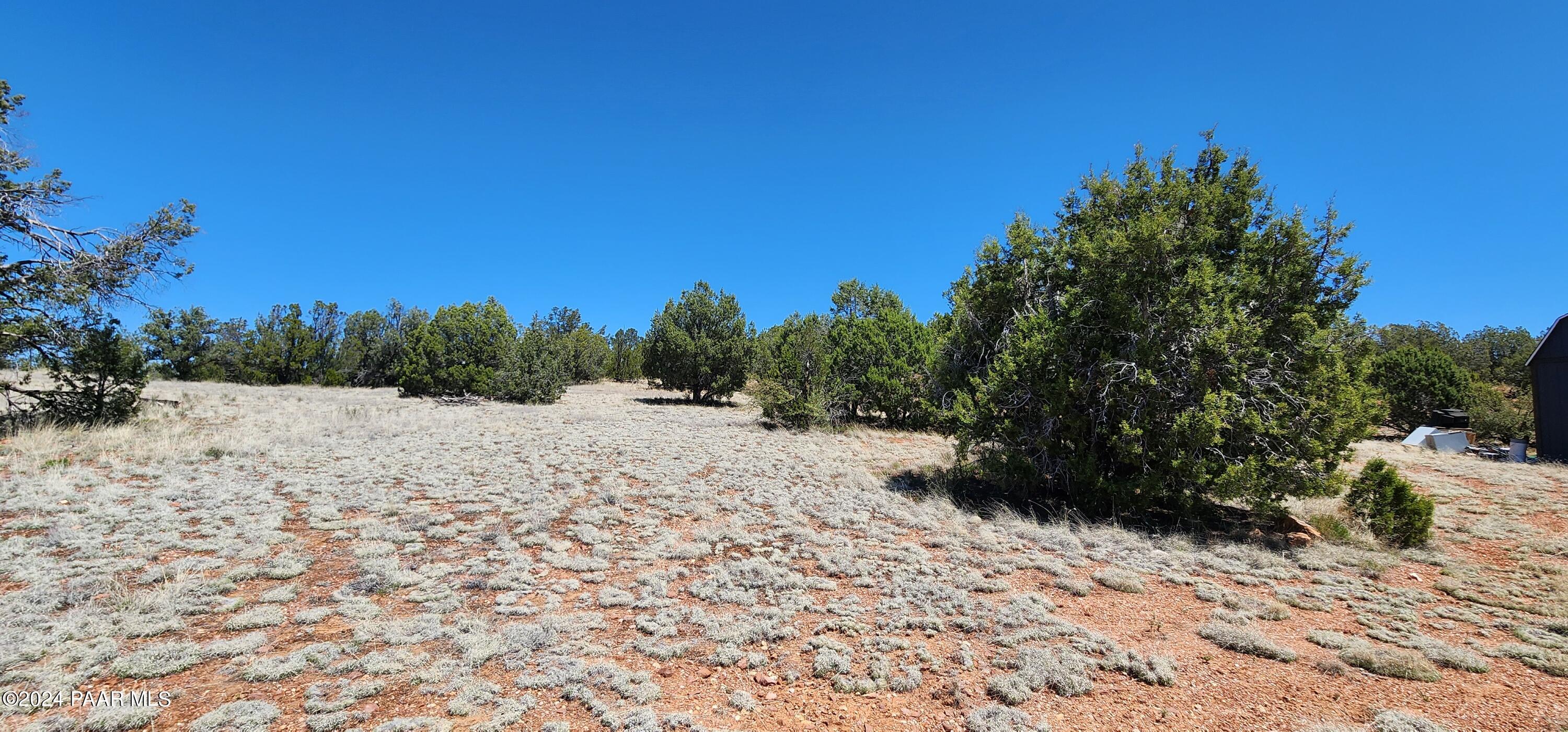 0 Wooden Ear Ranch Road Seligman, AZ 86337 - Photo 32 of 47 a view of outdoor space yard and trees