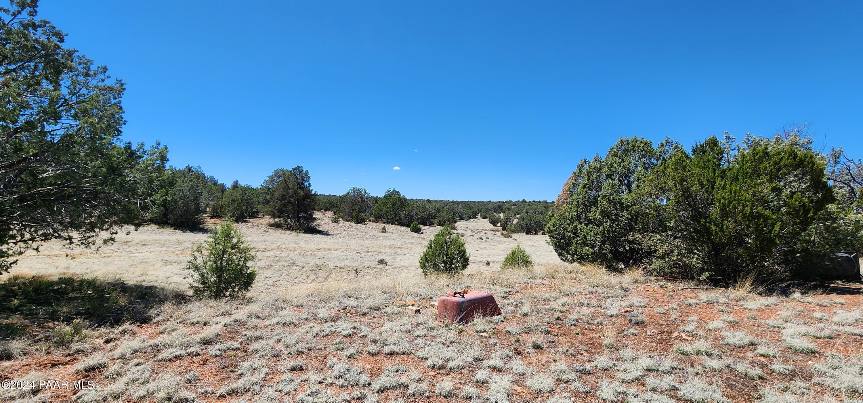 0 Wooden Ear Ranch Road Seligman, AZ 86337 - Photo 33 of 47 a view of a dry yard with a tree
