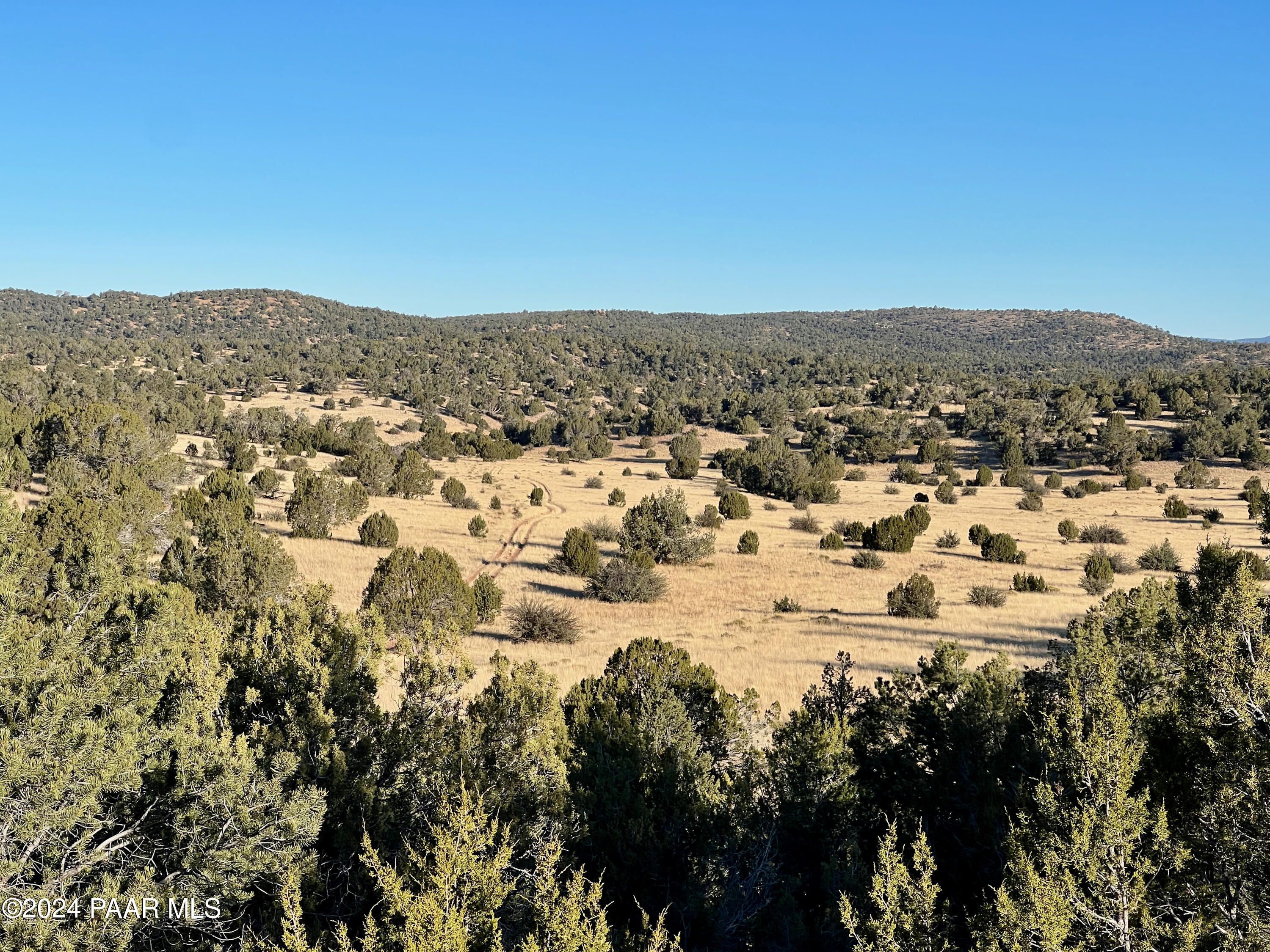 0 Wooden Ear Ranch Road Seligman, AZ 86337 - Photo 36 of 47 a view of a city