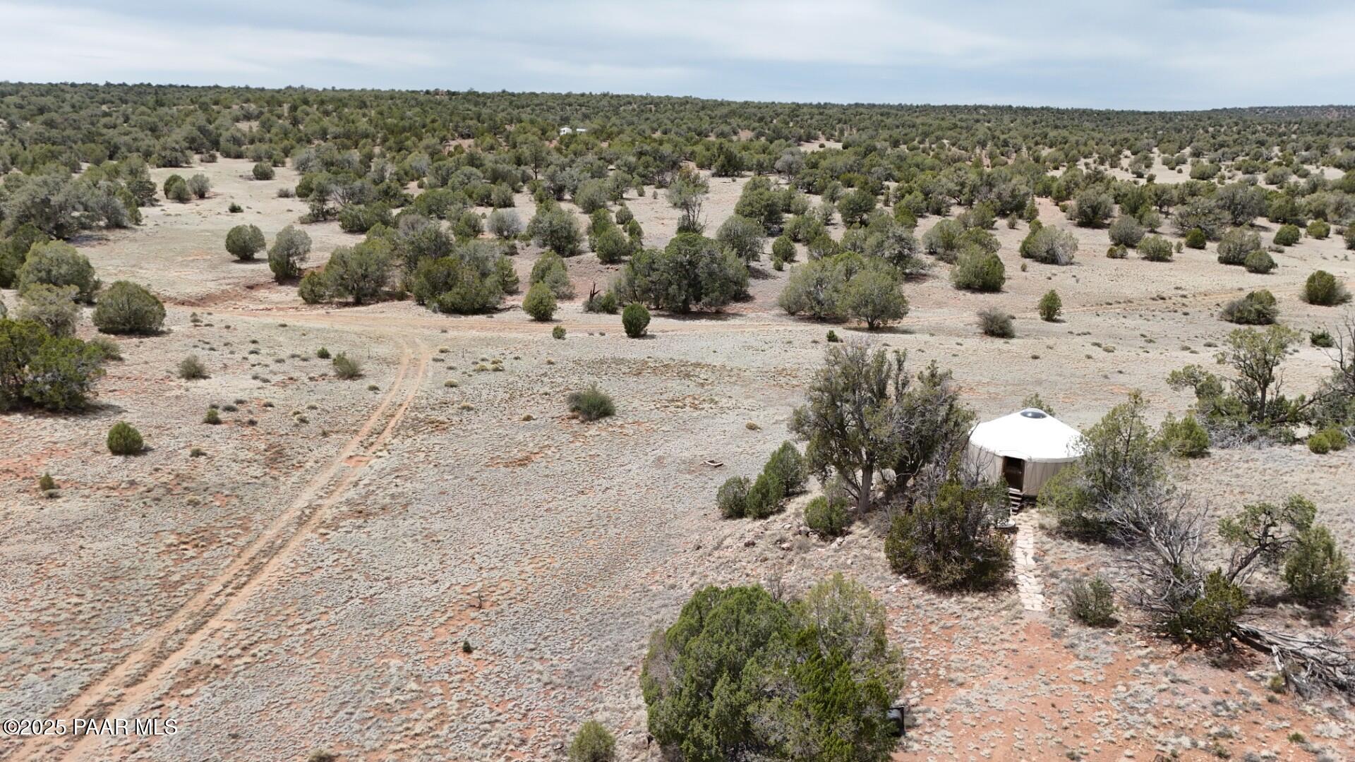 0 Wooden Ear Ranch Road Seligman, AZ 86337 - Photo 39 of 47 a view of a dry yard covered with snow