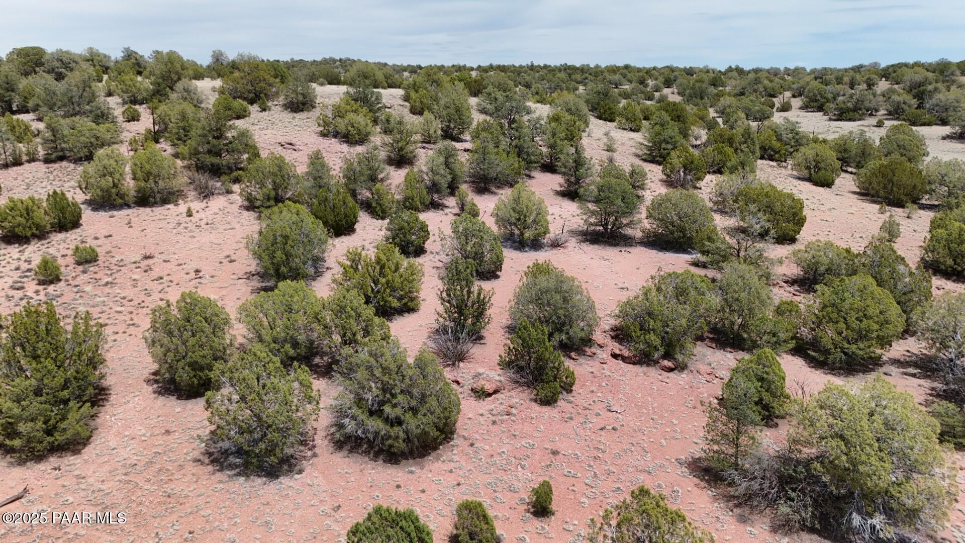0 Wooden Ear Ranch Road Seligman, AZ 86337 - Photo 41 of 47 a view of a yard with a house