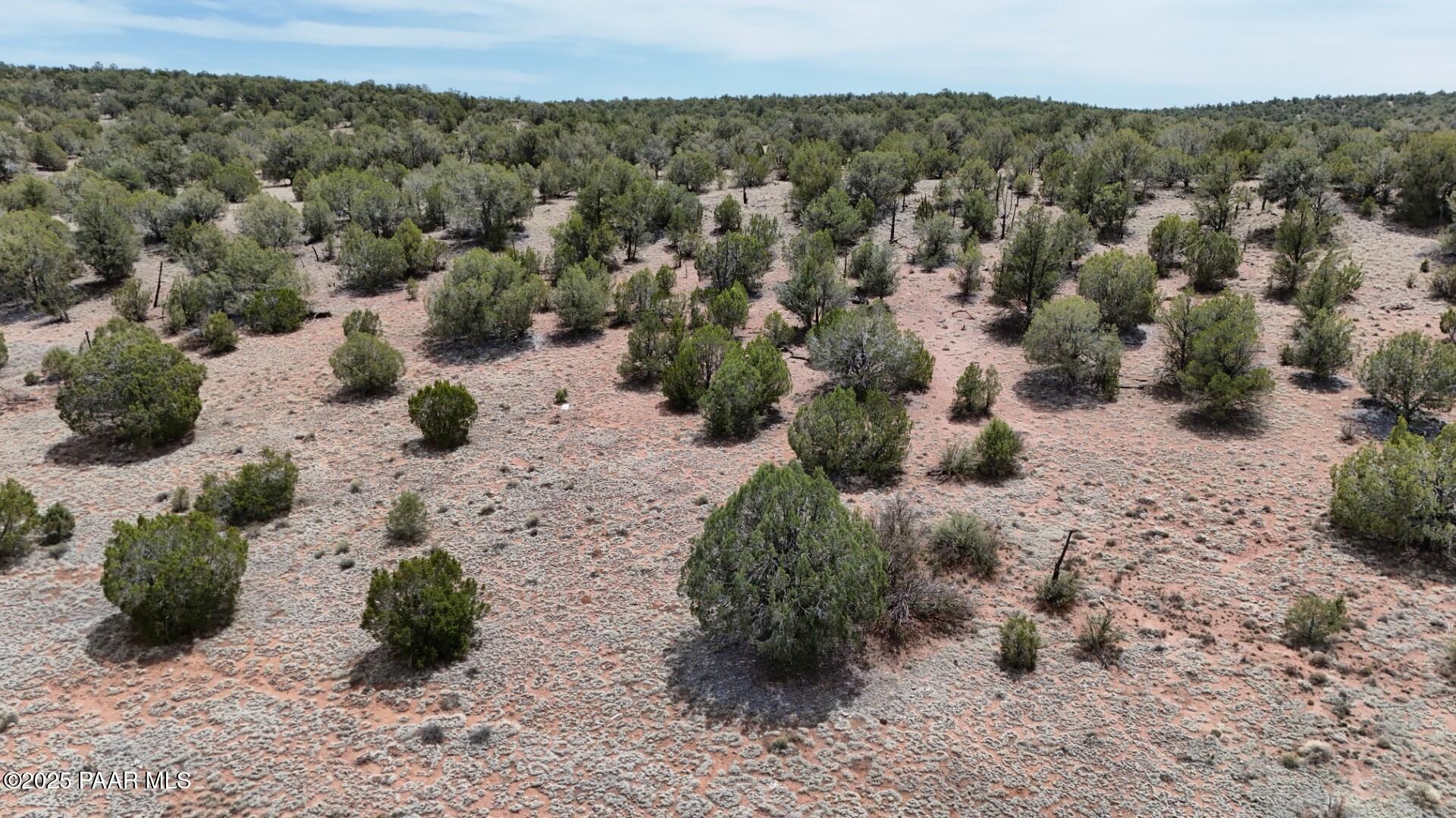 0 Wooden Ear Ranch Road Seligman, AZ 86337 - Photo 42 of 47 a view of a yard with a yard