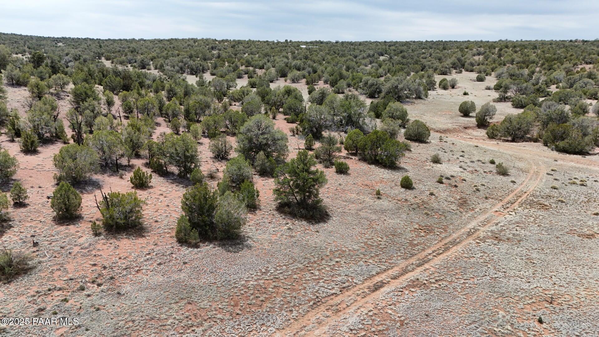 0 Wooden Ear Ranch Road Seligman, AZ 86337 - Photo 43 of 47 a view of a dry yard
