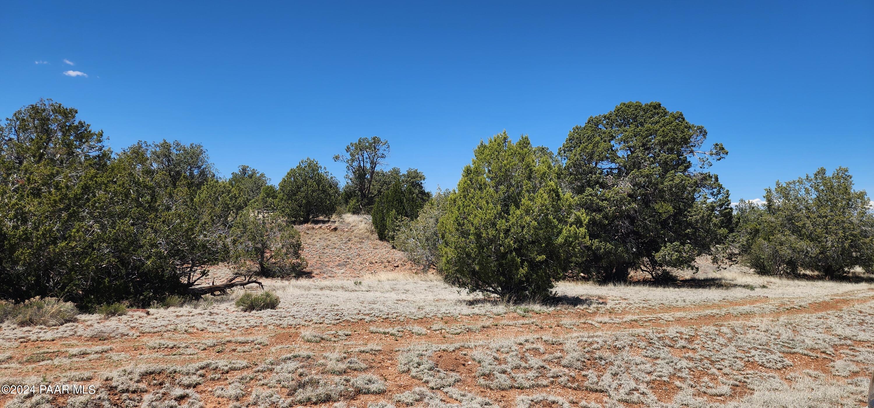 0 Wooden Ear Ranch Road Seligman, AZ 86337 - Photo 5 of 47 a view of a yard with a snow on the road