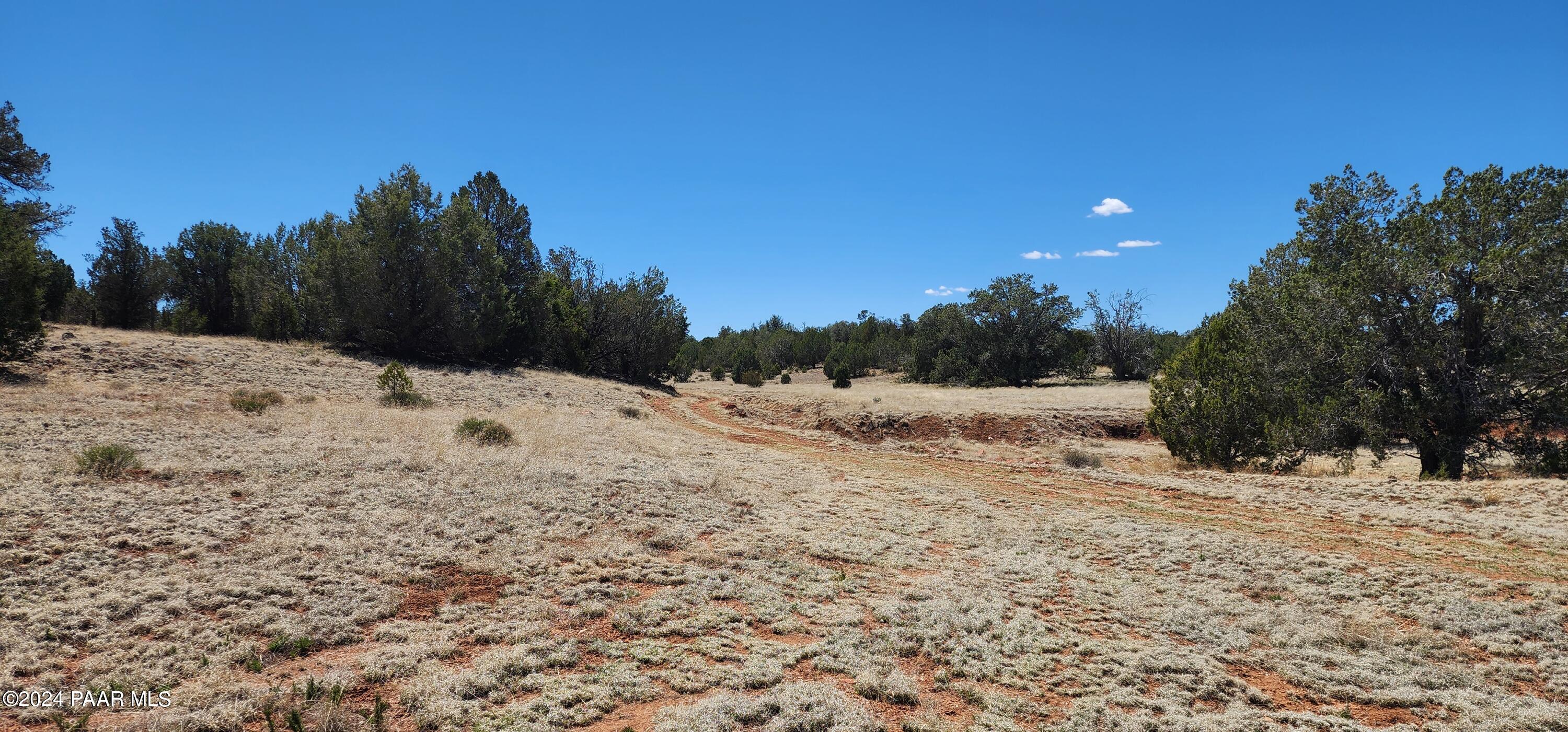 0 Wooden Ear Ranch Road Seligman, AZ 86337 - Photo 7 of 47 a view of a covered with snow in the background