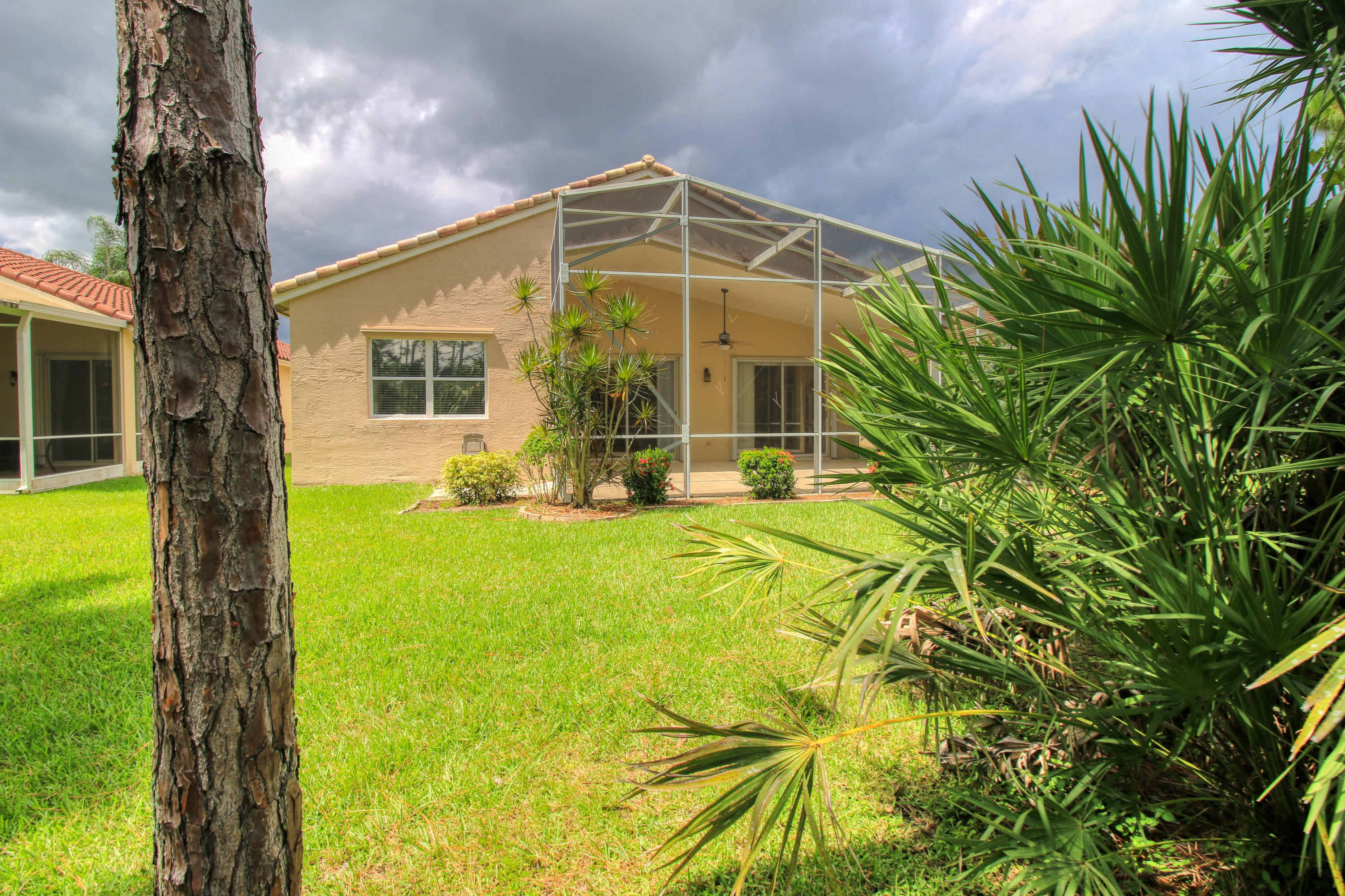 337 Springview Loop Port St. Lucie, FL 34986 - Photo 9 of 48 Back Yard Through the Pines