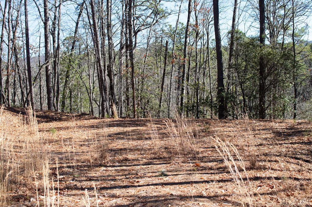 Lot Oak Oak Laurel Road Brevard, NC 28712 - Photo 1 of 13 Gallery Image 1