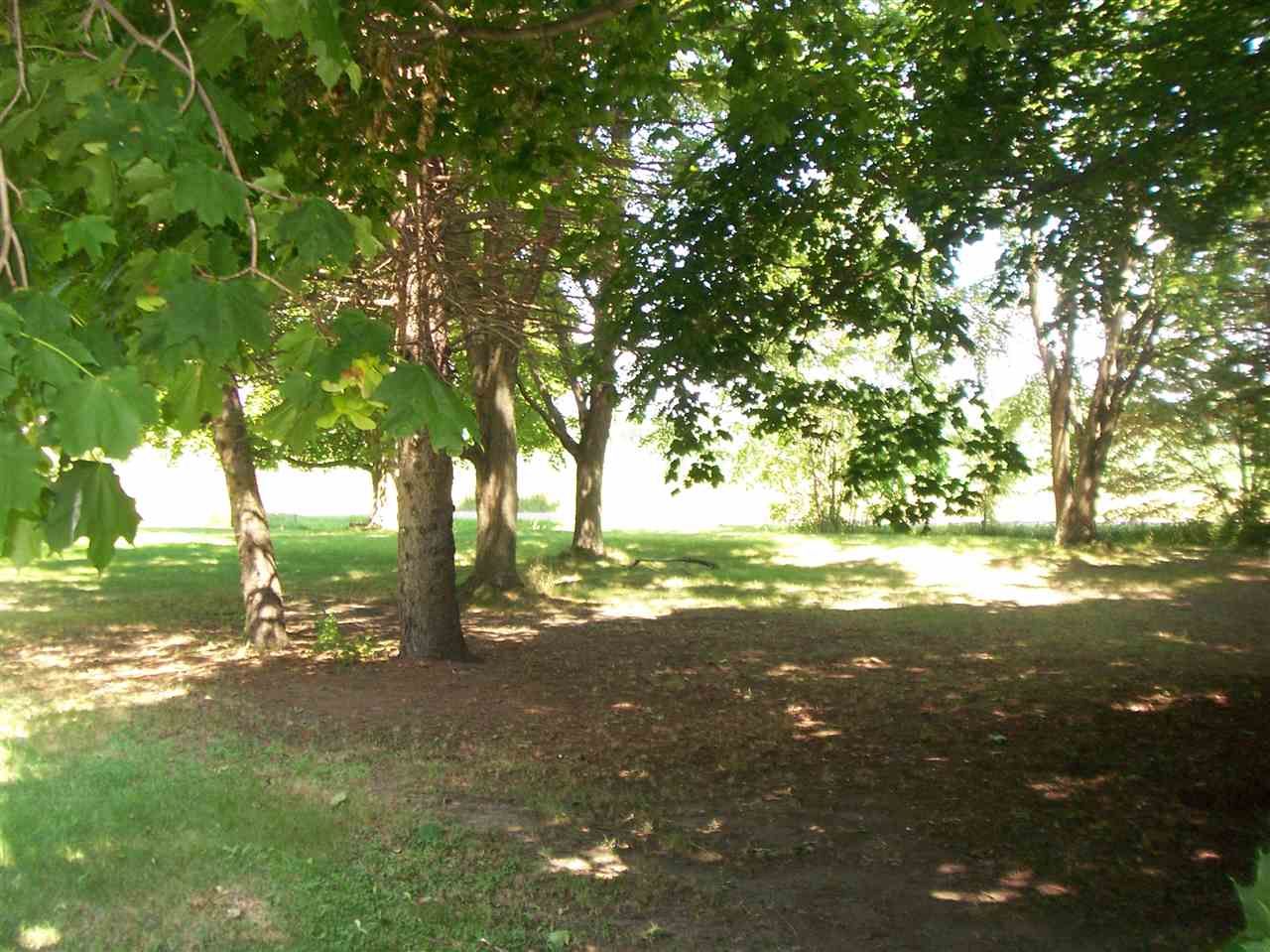 8660 East Fremont Road Shepherd, MI 48883 - Photo 21 of 22 1821258-20.JPG