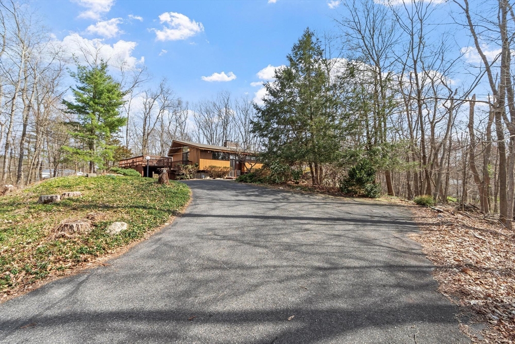 21 Gray Road Andover, MA 01810 - Photo 4 of 38 a view of a park with large trees