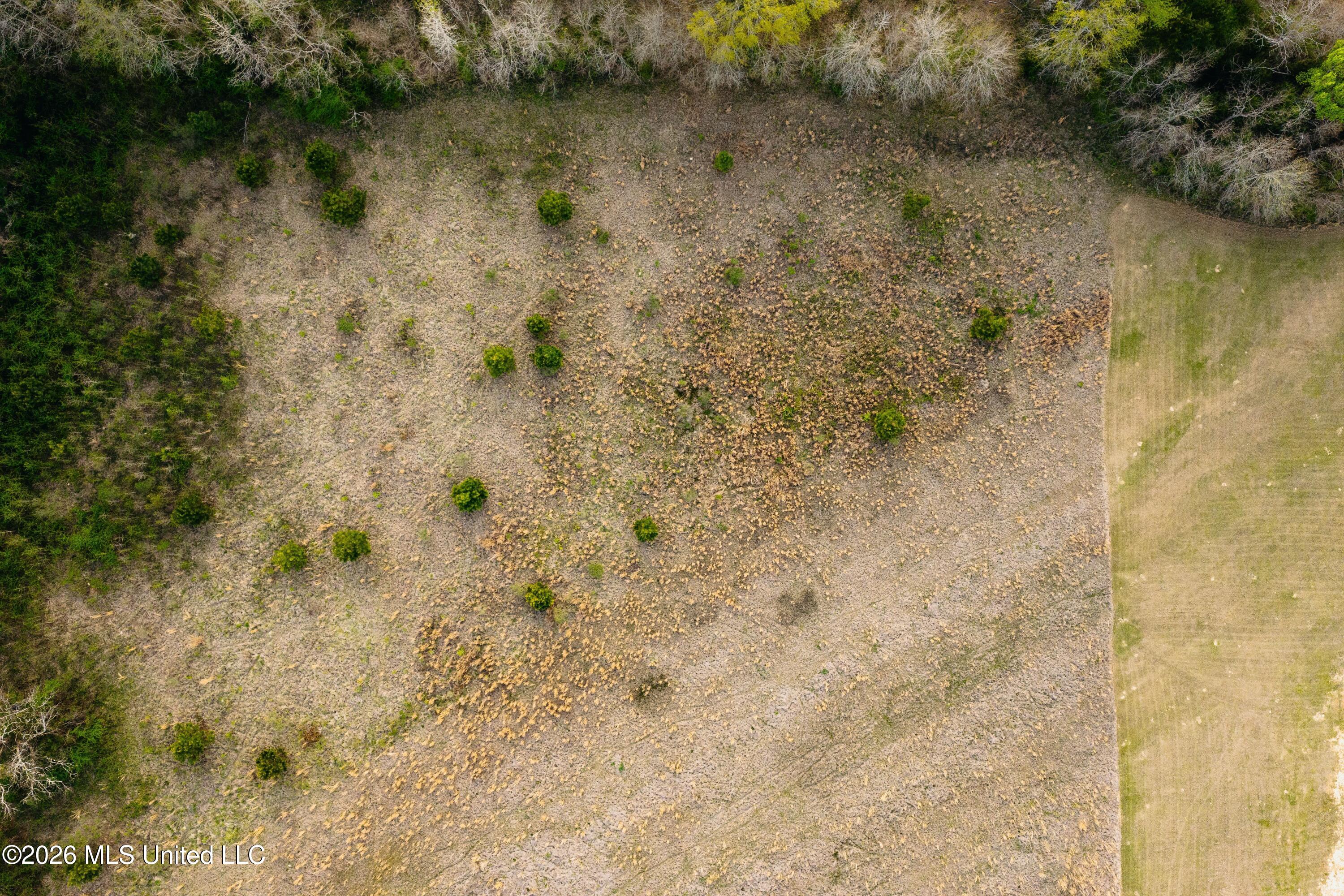 1844 Volley Campbell Road Terry, MS 39170 - Photo 69 of 81 DJI_20260324072201_0195_D