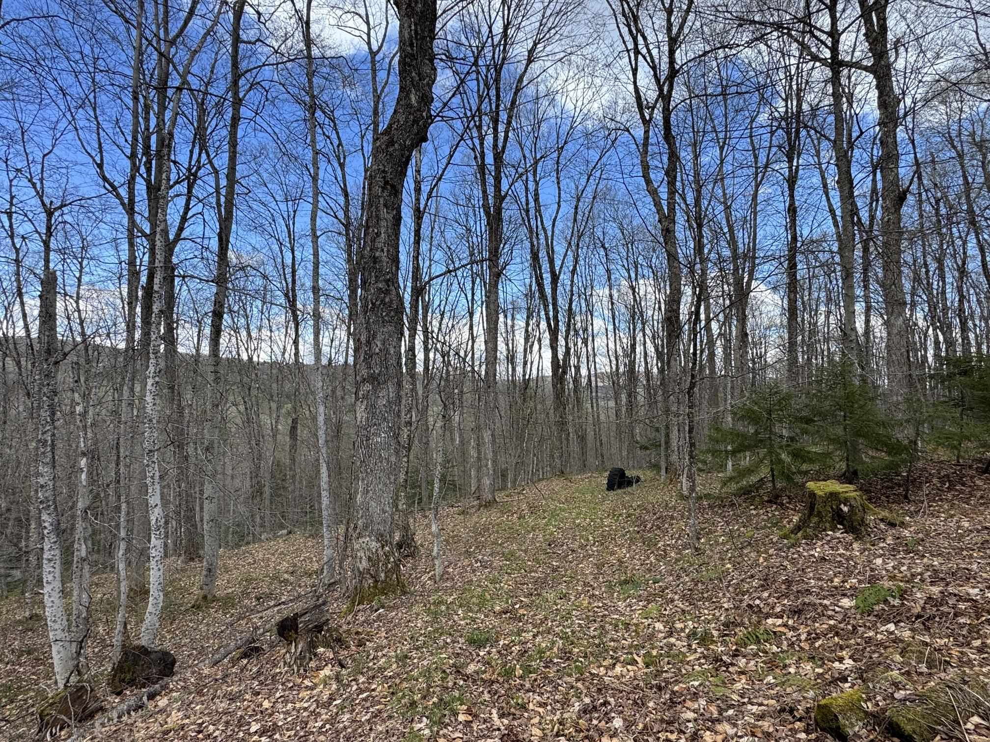316 Last Road Cabot, VT 05647 - Photo 5 of 26