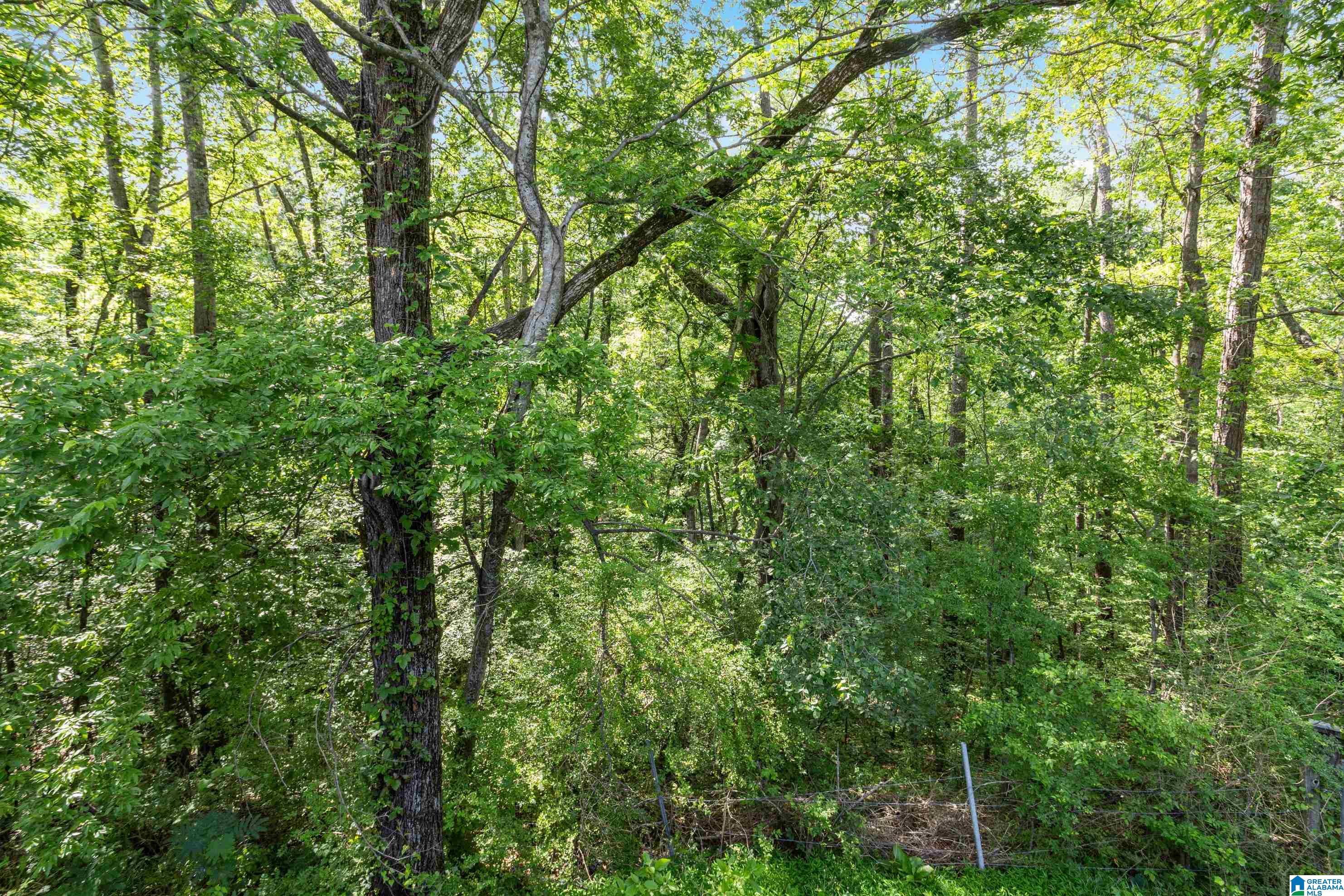 1224 Whitten Road Mount Olive, AL 35117 - Photo 31 of 39