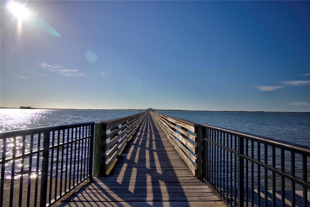 128 Edgewater Terrace Dunedin, FL 34698 - Photo 58 of 59