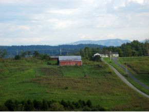 605 Boones Station Road Gray, TN 37615 - Photo 3 of 24 Photo 3