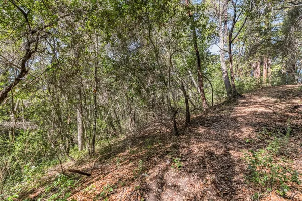 $7,500 | Lot 08 Madrone Avenue, Felton, CA 95018