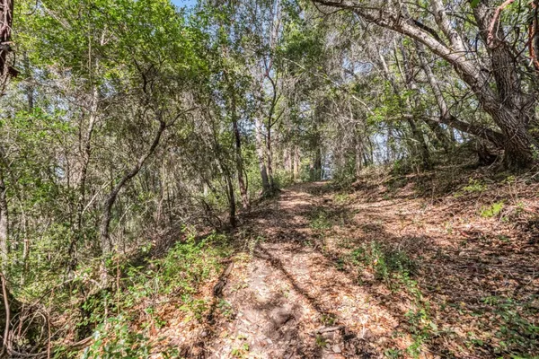 $7,500 | Lot 08 Madrone Avenue, Felton, CA 95018
