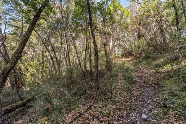 $7,500 | Lot 08 Madrone Avenue, Felton, CA 95018