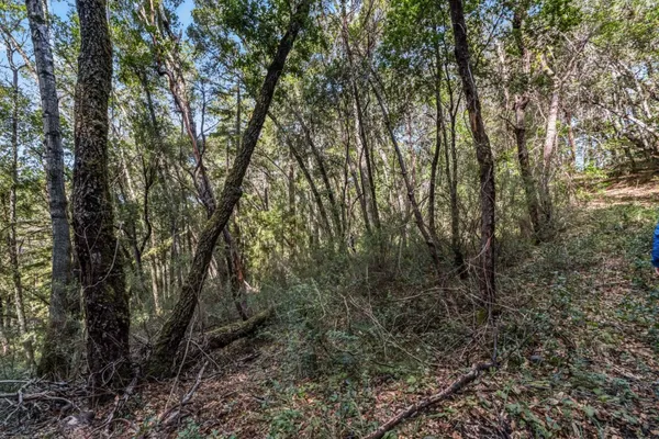 $7,500 | Lot 08 Madrone Avenue, Felton, CA 95018