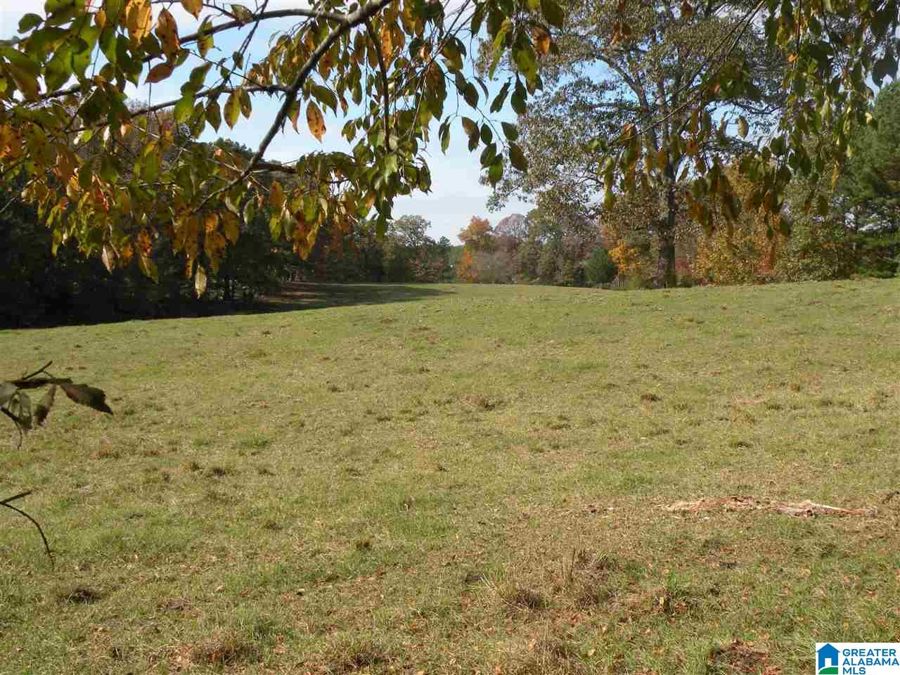 4950 Plantersville Road Alpine, AL 35014 - Photo 24 of 47 Gallery Image 24