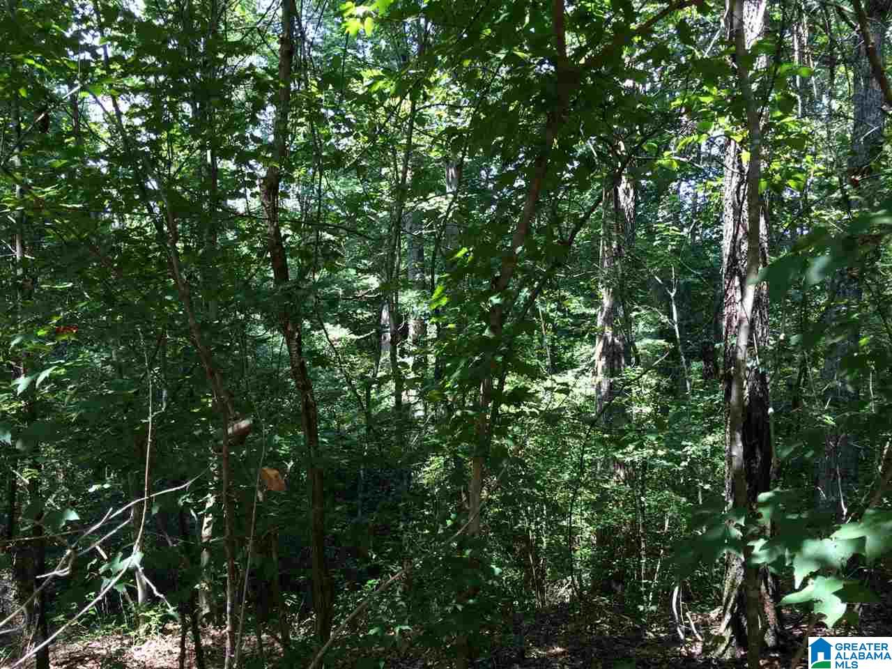 Spunky Hollow Road, Unit 18 7 Oneonta, AL 35121 - Photo 38 of 46