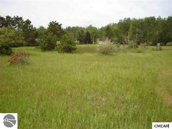 $8,000 | 1049 Duquesa Drive, Weidman, MI 48893