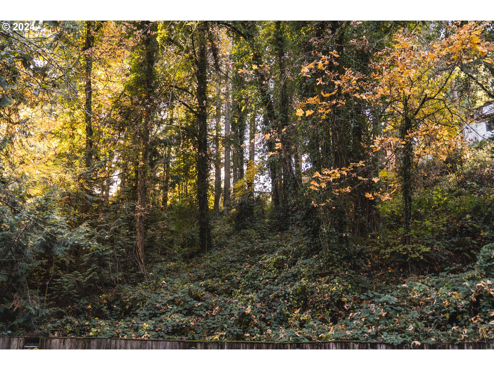 747 Southwest Cheltenham Street Portland, OR 97239 - Photo 34 of 35 Acreage