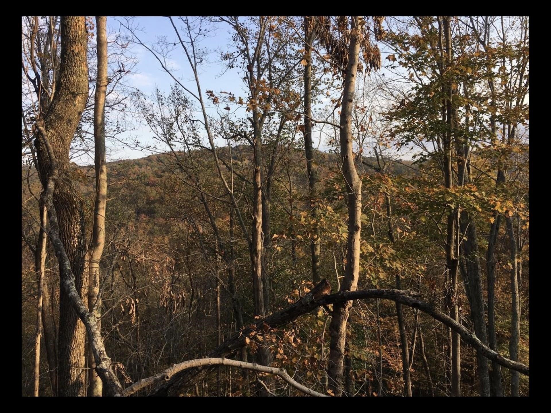 0 Rt 152 Wayne, WV 25570 - Photo 9 of 12 Gallery Image 9