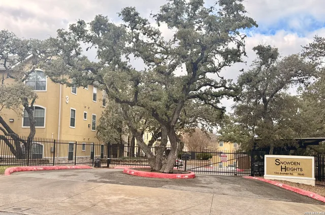 a outdoor space with lots of trees