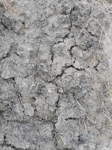 271 Thompson Cyn Road Green River, UT 84525 - Photo 12 of 26 Cryptobiotic Soil. "Tip toe through the Crypito."
