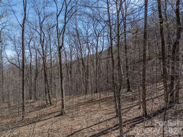 a view of a dry field with mountains in the background