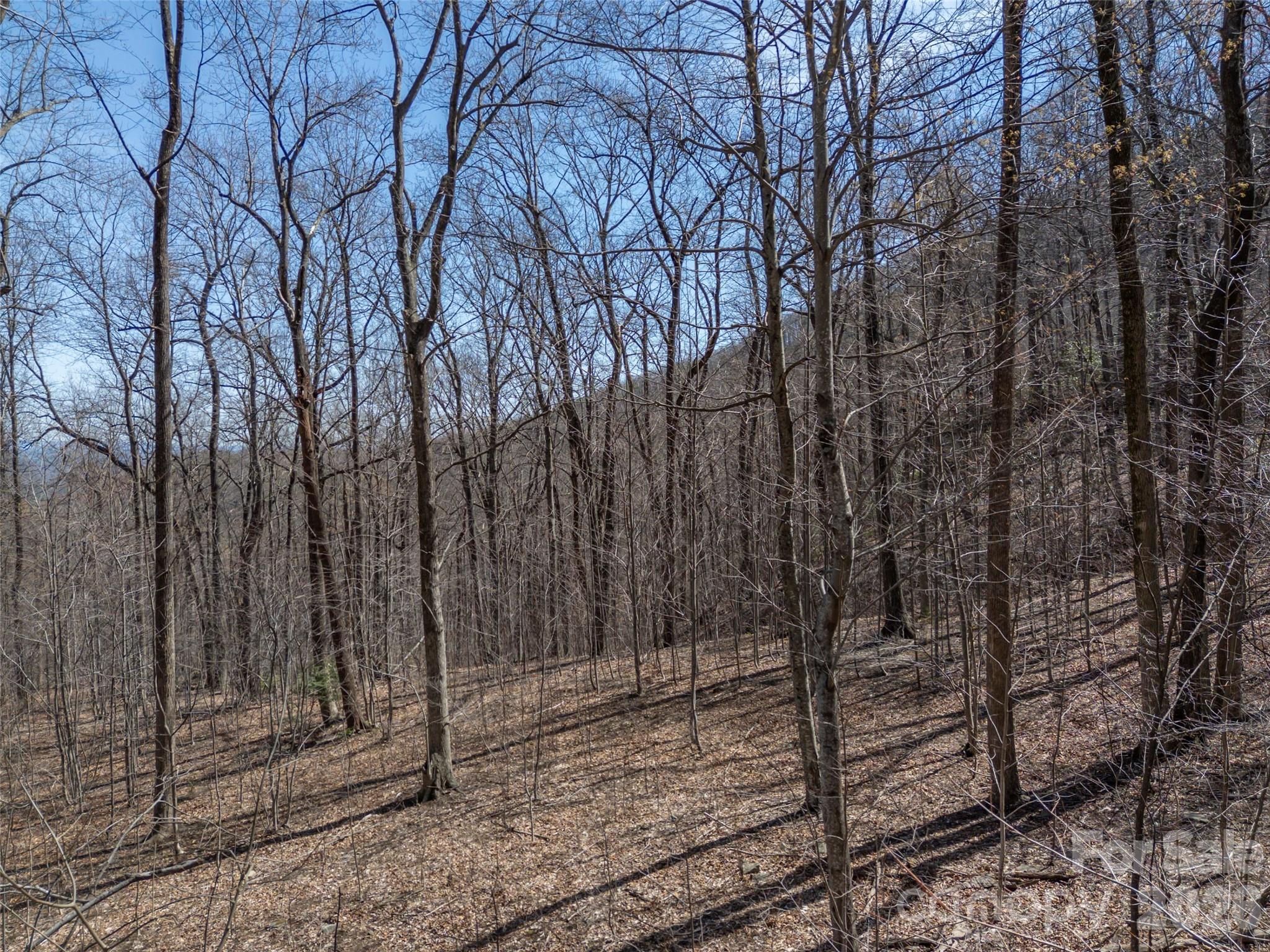 Lot 2130 Weaverly Ln Mill Spring Mill Spring, NC 28756 - Photo 13 of 37