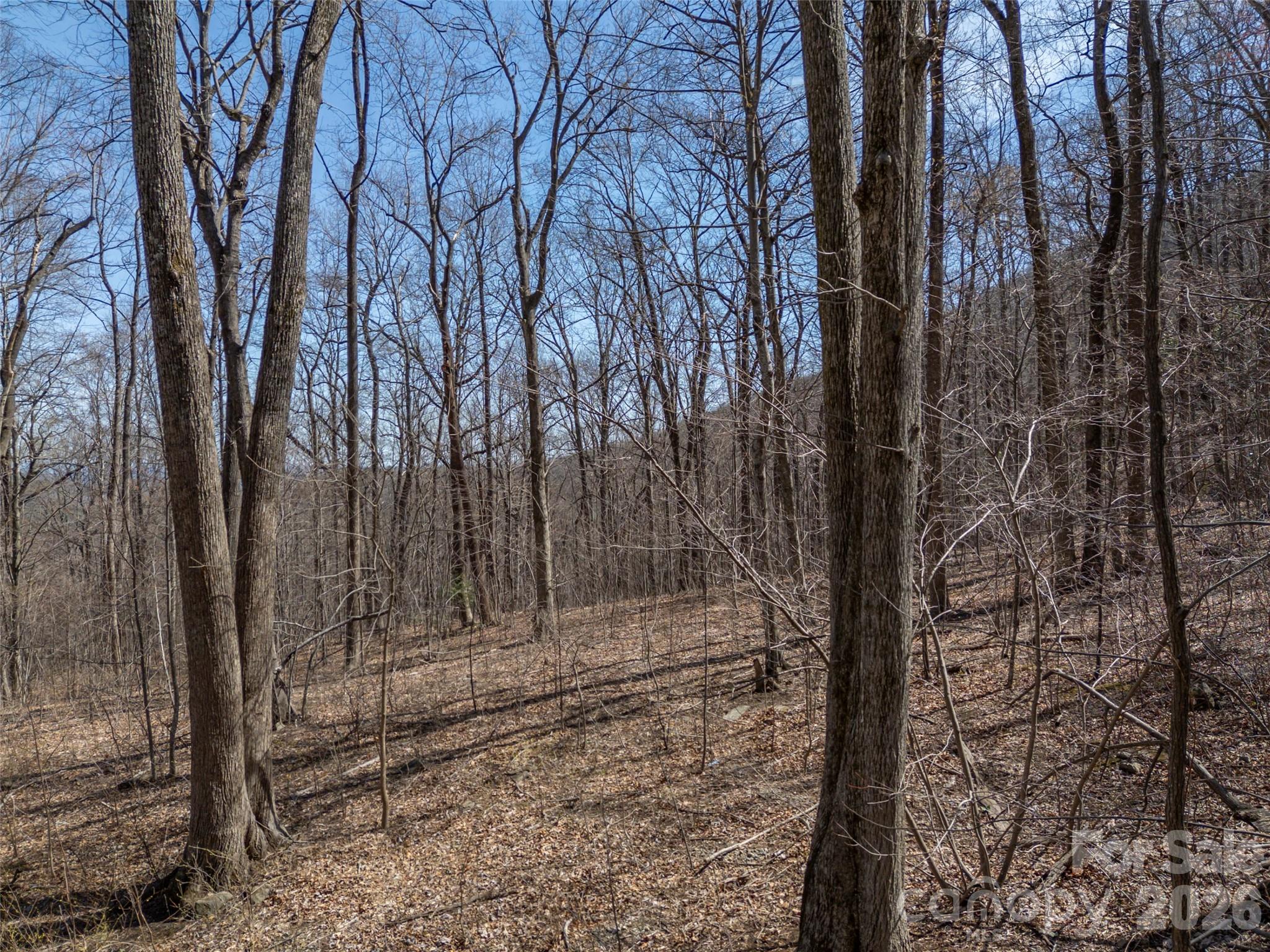 Lot 2130 Weaverly Ln Mill Spring Mill Spring, NC 28756 - Photo 15 of 37