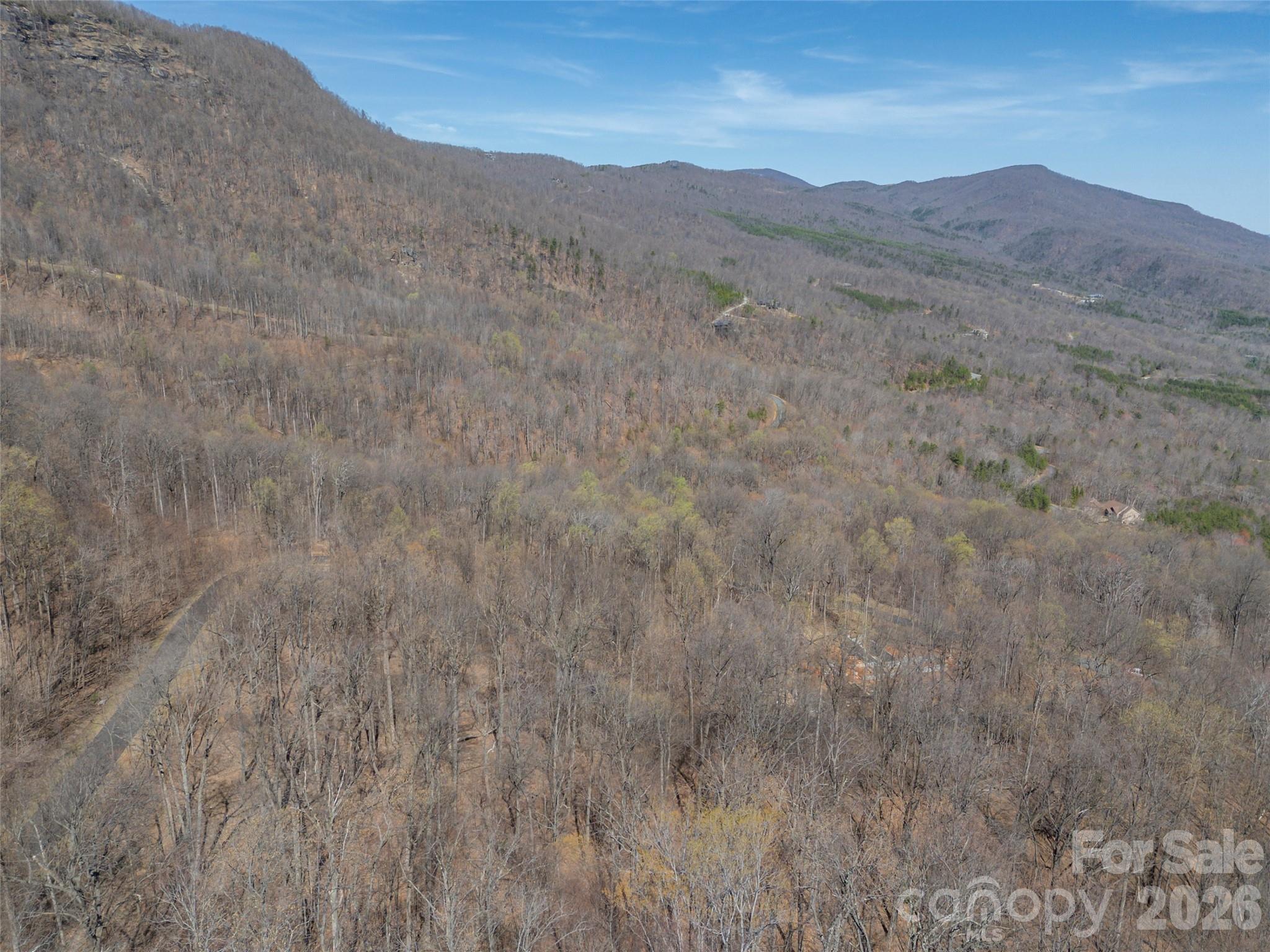 Lot 2130 Weaverly Ln Mill Spring Mill Spring, NC 28756 - Photo 19 of 37