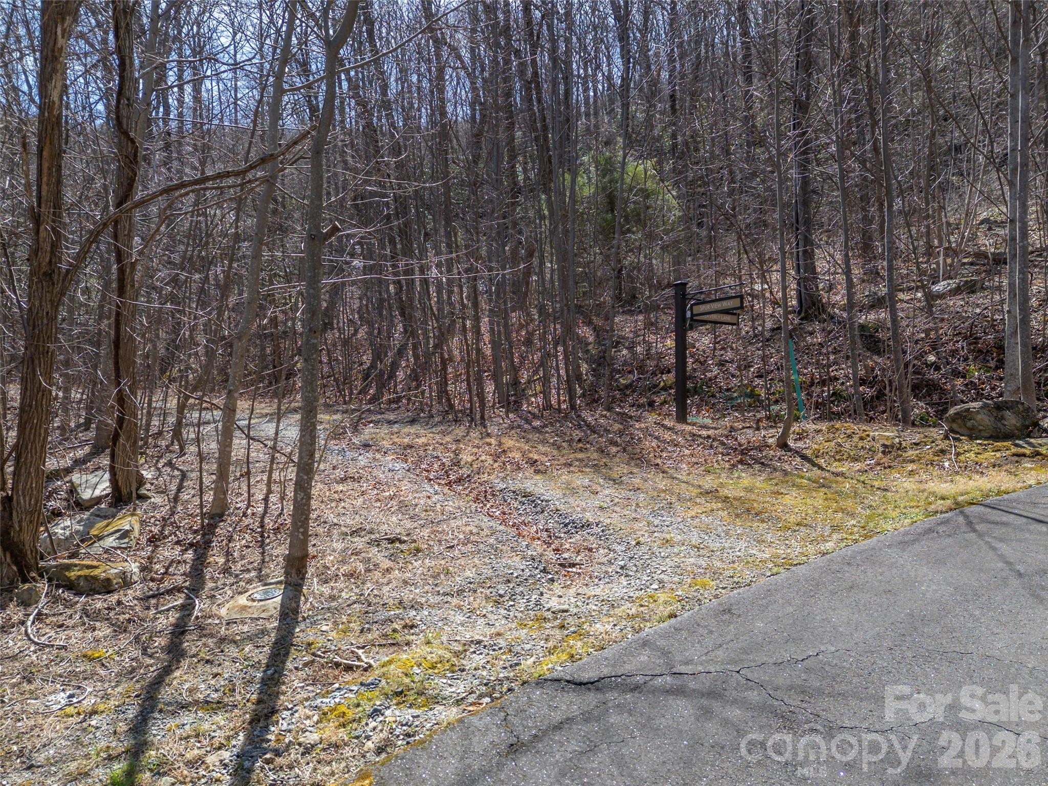 Lot 2130 Weaverly Ln Mill Spring Mill Spring, NC 28756 - Photo 20 of 37