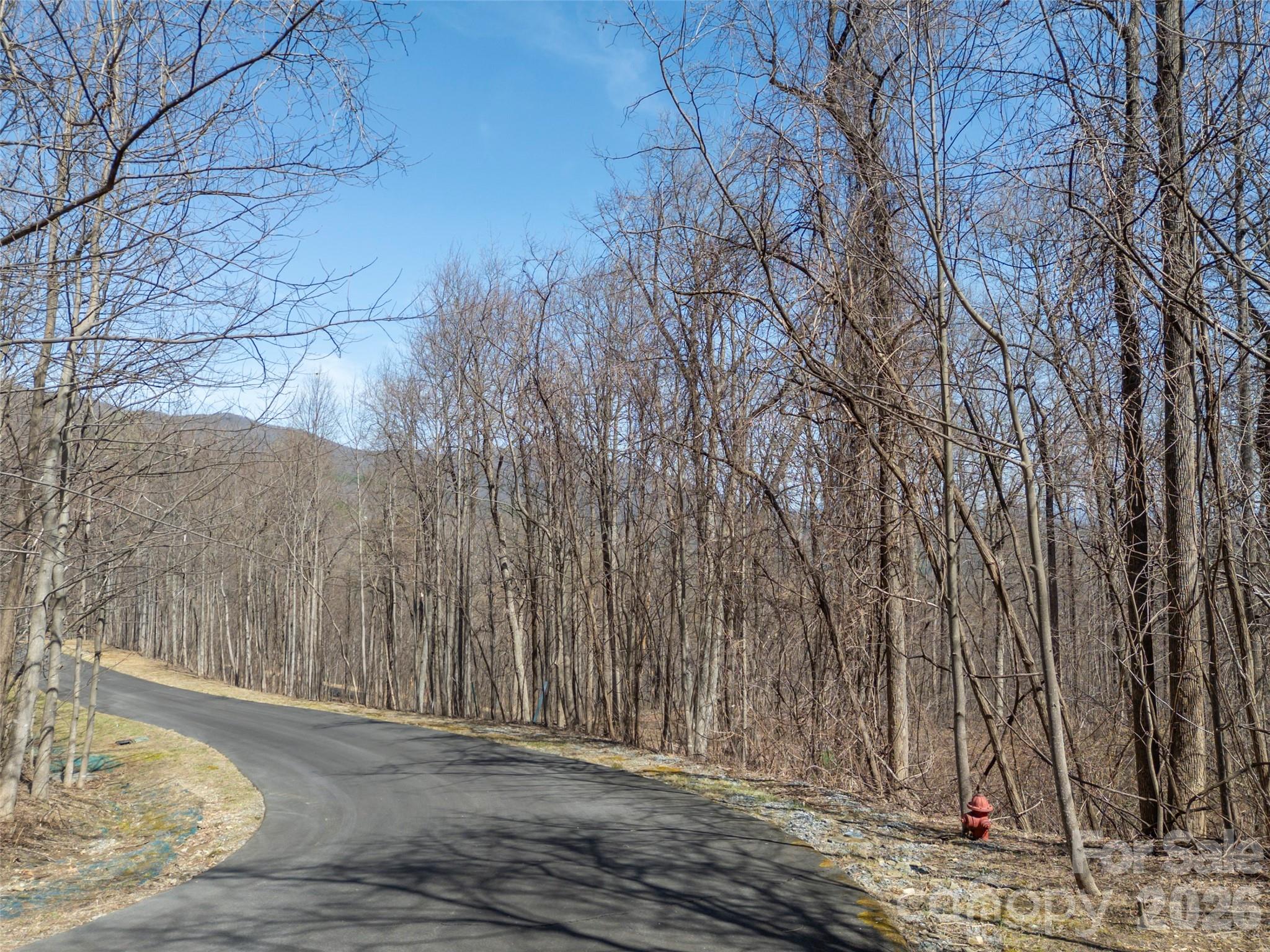 Lot 2130 Weaverly Ln Mill Spring Mill Spring, NC 28756 - Photo 21 of 37