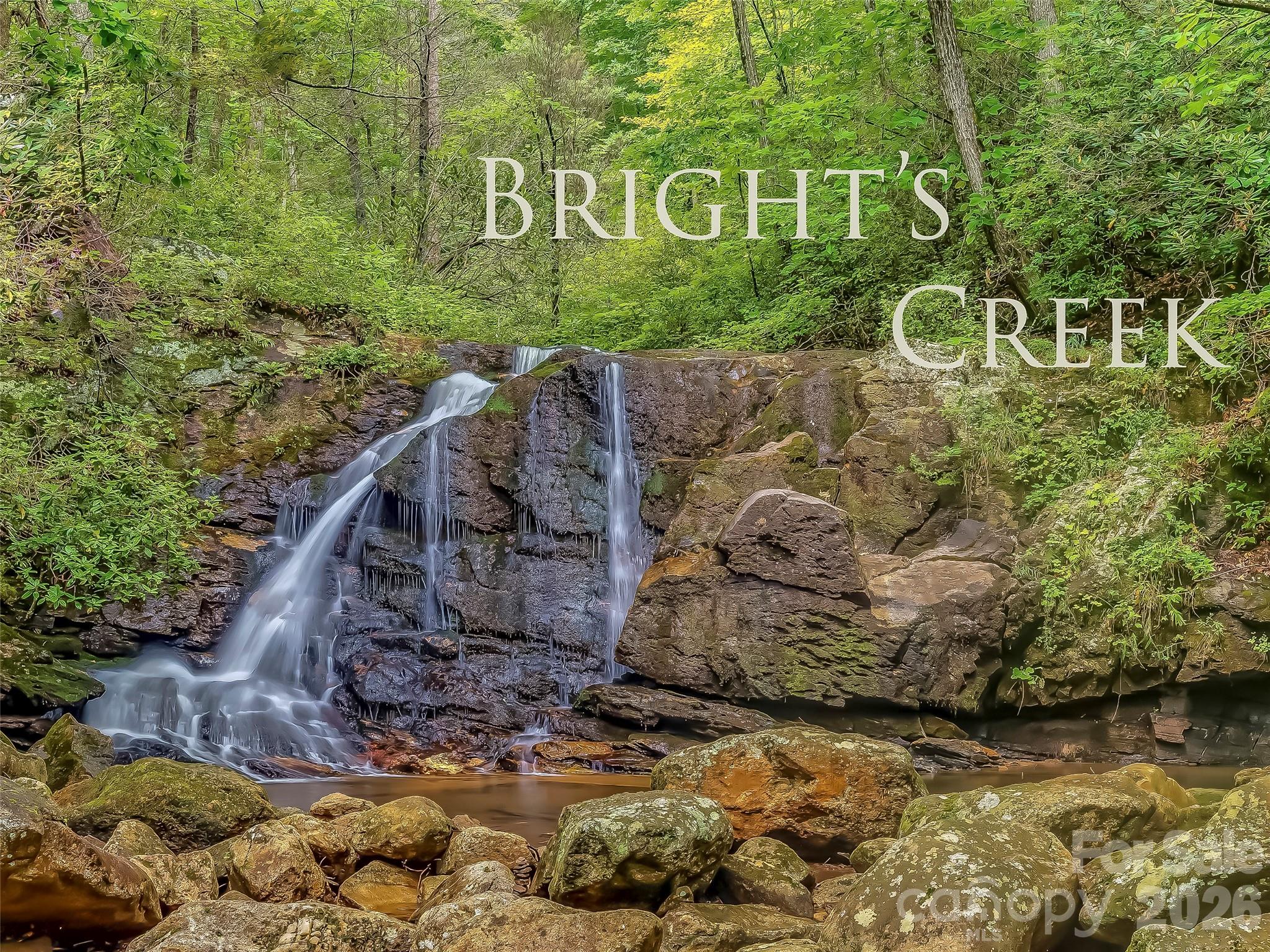 Lot 2130 Weaverly Ln Mill Spring Mill Spring, NC 28756 - Photo 23 of 37