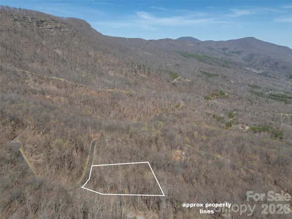 a view of a backyard of the house
